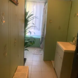 Cassandra's Private Getaway Heart Of Brooklyn New York